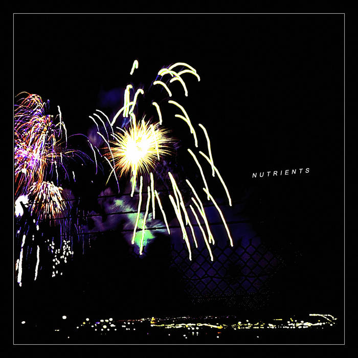 Artwork for the album "Different Bridges" by Nutrients
